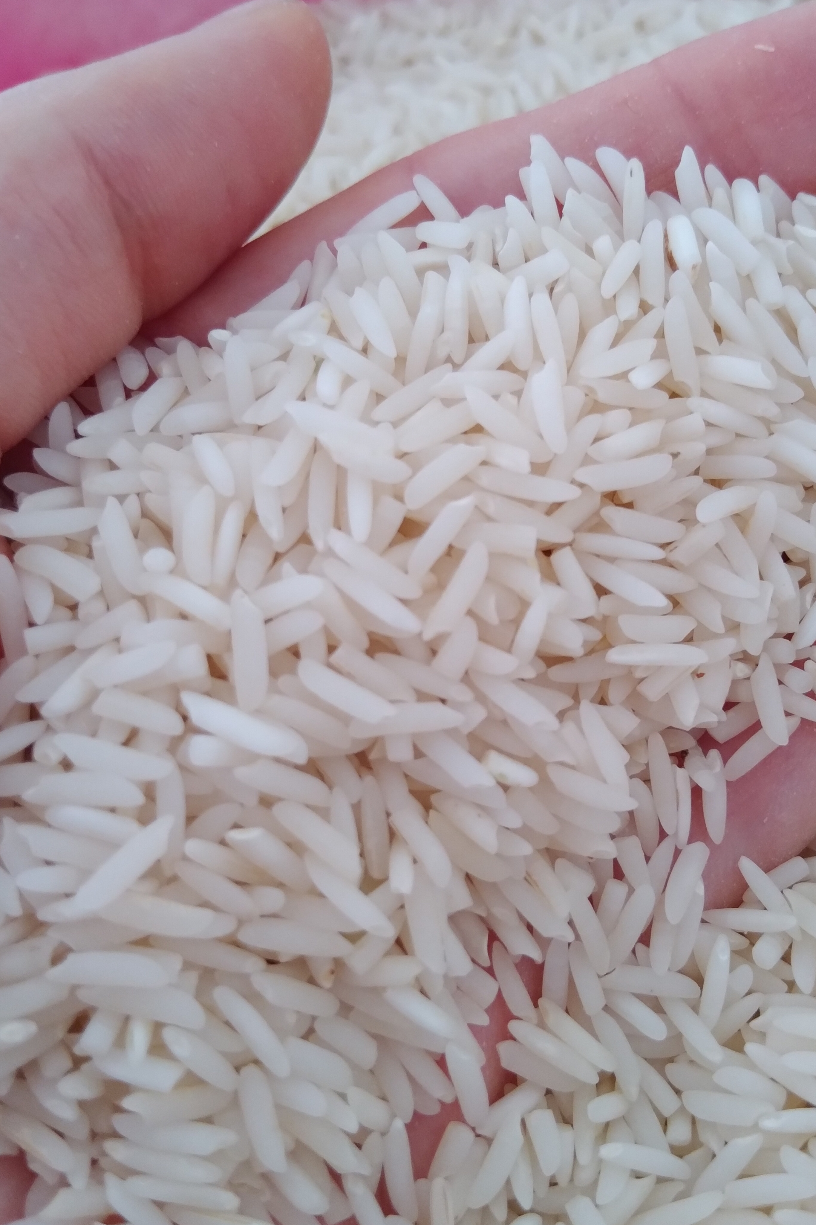 خرید برنج هاشمی گیلان
