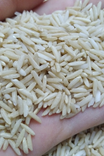 خرید آنلاین برنج قهوه ای هاشمی اصل